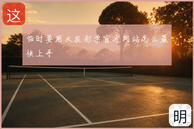 临时要用大发彩票官方网站怎么最快上手